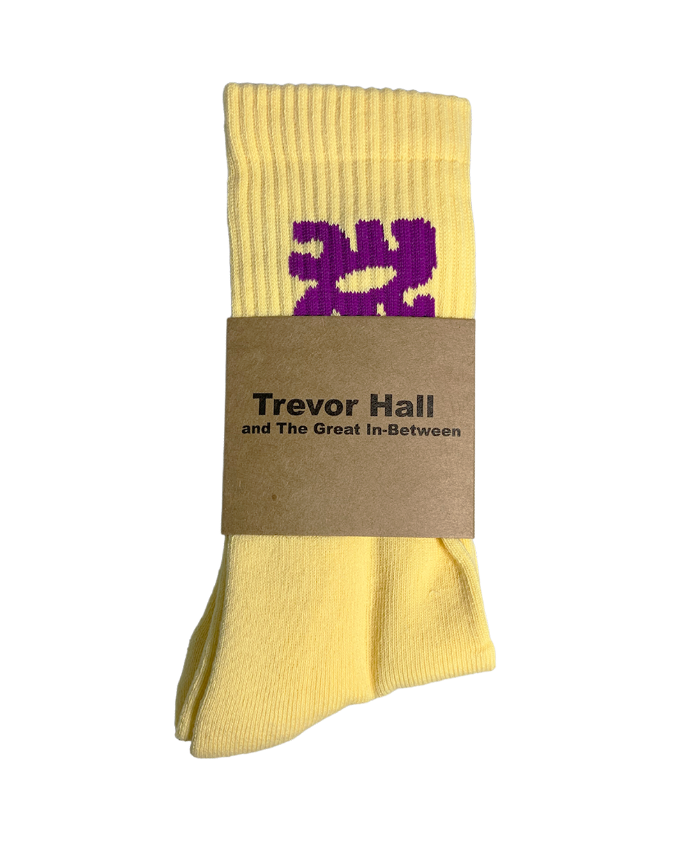 Trevor Hall and The Great In-Between Socks (2 Colors)