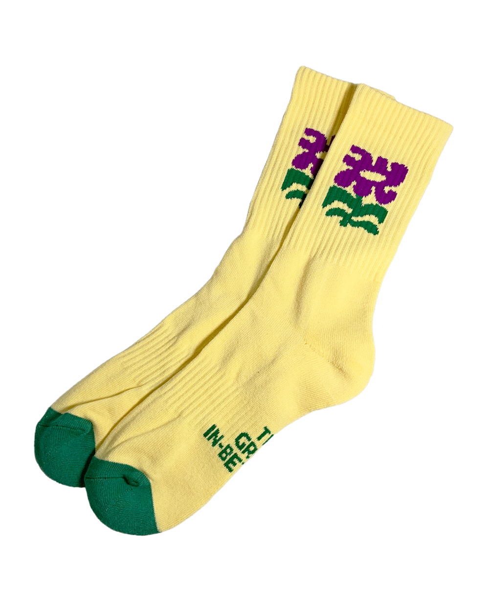 Trevor Hall and The Great In-Between Socks (2 Colors)